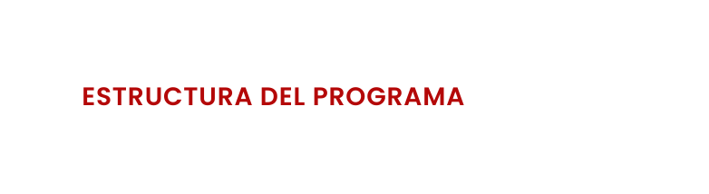 ESTRUCTURA DEL PROGRAMA